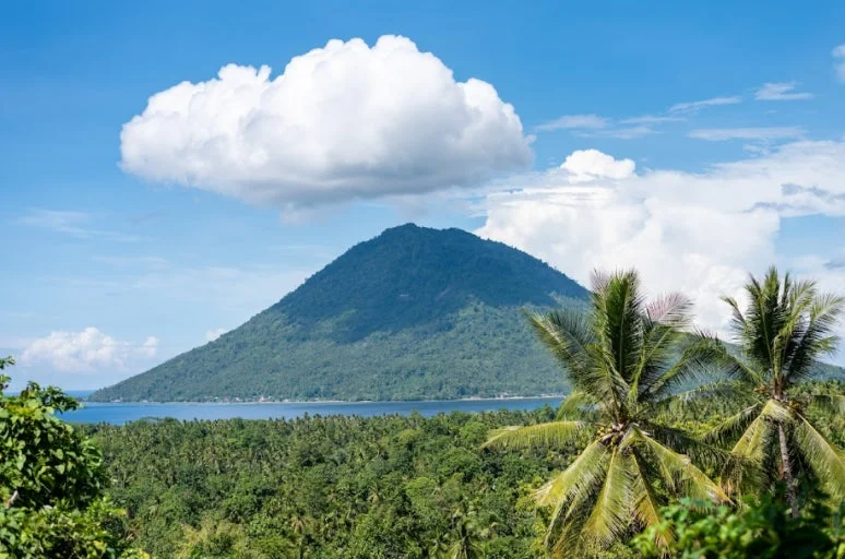 "치앙마이 대신 여기?" 마나도 지상낙원 명소 TOP 5와 절대 실패 없는 맛집 리스트 4 마나도 여행 로컬 식당 대표 메뉴 볶음 국수 미고랭의 비주얼