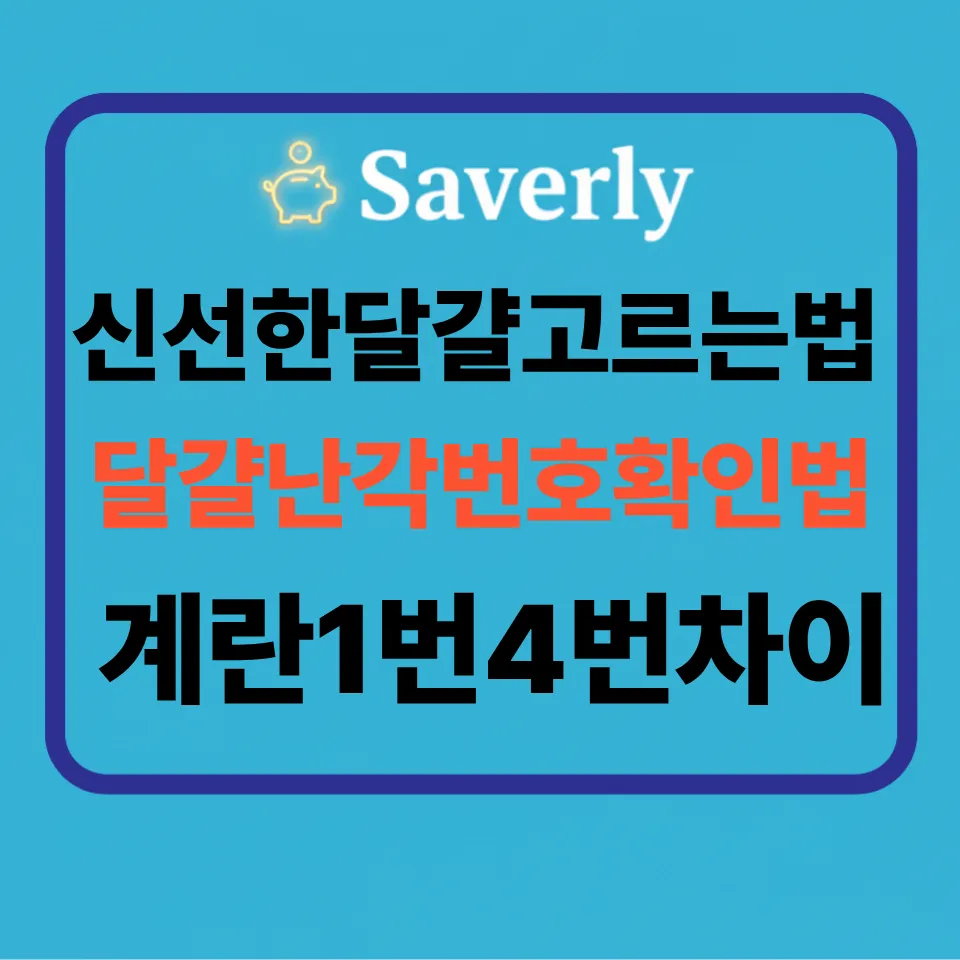 달걀 난각번호 확인법: 1번 달걀의 배신? 산란일자 4자리로 신선한 계란 고르는 법