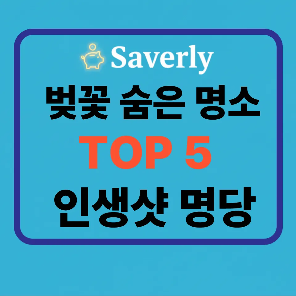 벚꽃 숨은 명소 TOP 5: 인파 피하는 전국 비밀 스팟과 지역 경제학적 분석 (서울~남도)