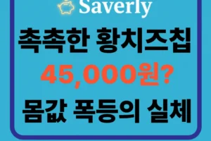 [품절 대란] 촉촉한 황치즈칩 4만 5천원까지 폭등? 한정판 과자 품귀 현상의 경제적 배경과 재출시 전망